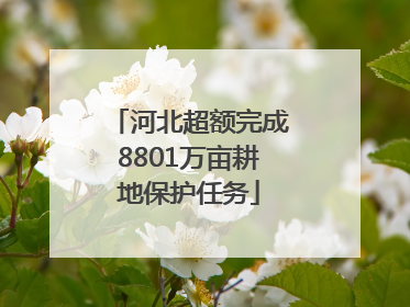 河北超额完成8801万亩耕地保护任务