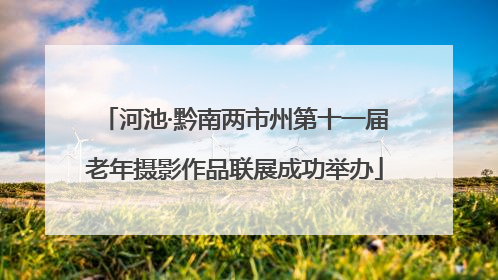 河池·黔南两市州第十一届老年摄影作品联展成功举办