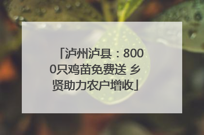 泸州泸县：8000只鸡苗免费送 乡贤助力农户增收