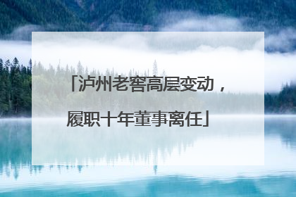 泸州老窖高层变动，履职十年董事离任
