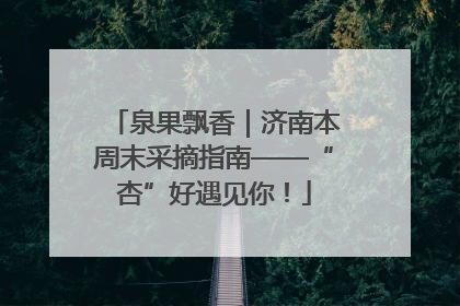 泉果飘香｜济南本周末采摘指南——“杏”好遇见你！