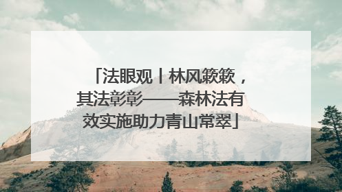 法眼观丨林风簌簌，其法彰彰——森林法有效实施助力青山常翠