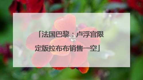 法国巴黎：卢浮宫限定版拉布布销售一空