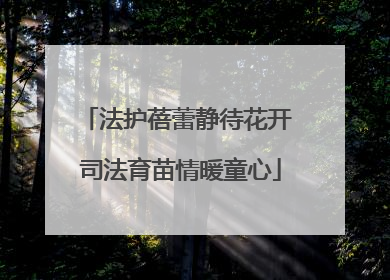 法护蓓蕾静待花开 司法育苗情暖童心