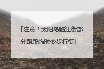 注意！太阳岛临江街部分路段临时变步行街
