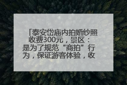泰安岱庙内拍婚纱照收费300元，景区：是为了规范“商拍”行为，保证游客体验，收取费用全部上交国库