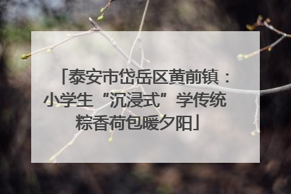 泰安市岱岳区黄前镇：小学生“沉浸式”学传统 粽香荷包暖夕阳