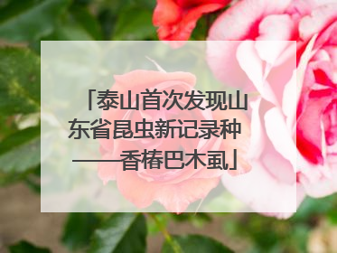 泰山首次发现山东省昆虫新记录种——香椿巴木虱