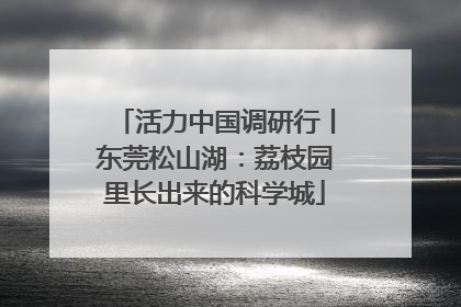 活力中国调研行丨东莞松山湖：荔枝园里长出来的科学城