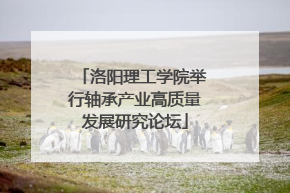 洛阳理工学院举行轴承产业高质量发展研究论坛