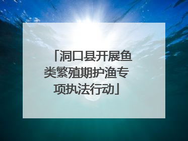 洞口县开展鱼类繁殖期护渔专项执法行动