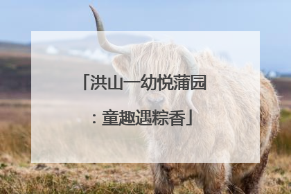 洪山一幼悦蒲园：童趣遇粽香