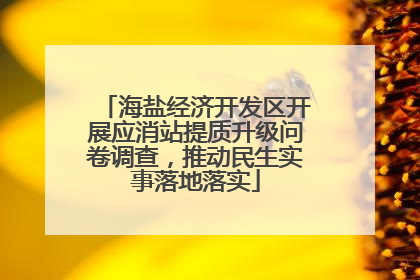 海盐经济开发区开展应消站提质升级问卷调查，推动民生实事落地落实