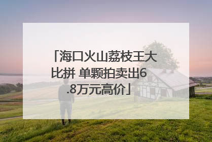 海口火山荔枝王大比拼 单颗拍卖出6.8万元高价