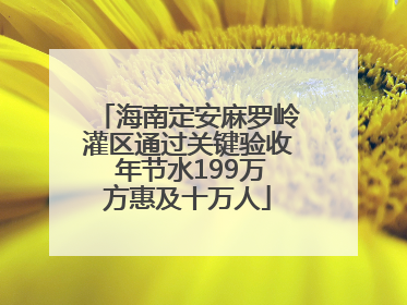 海南定安麻罗岭灌区通过关键验收 年节水199万方惠及十万人