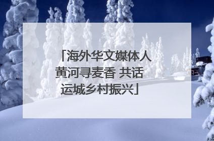 海外华文媒体人黄河寻麦香 共话运城乡村振兴