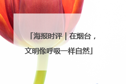 海报时评｜在烟台，文明像呼吸一样自然
