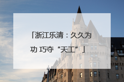浙江乐清：久久为功 巧夺“天工”