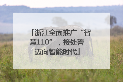 浙江全面推广“智慧110”，接处警迈向智能时代