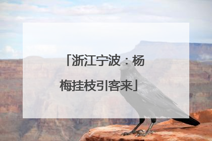 浙江宁波：杨梅挂枝引客来