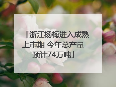 浙江杨梅进入成熟上市期 今年总产量预计74万吨