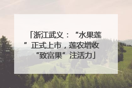 浙江武义：“水果莲”正式上市，莲农增收“致富果”注活力