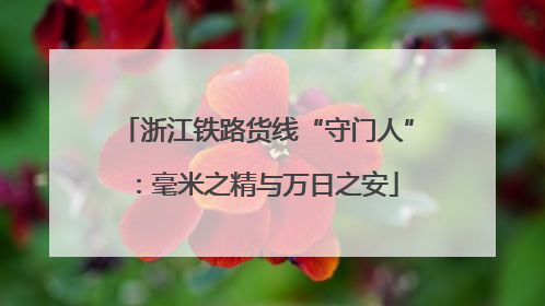 浙江铁路货线“守门人”：毫米之精与万日之安