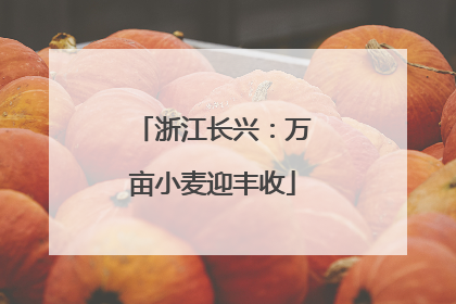 浙江长兴：万亩小麦迎丰收