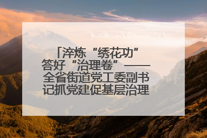 淬炼“绣花功” 答好“治理卷”——全省街道党工委副书记抓党建促基层治理培训示范班侧记