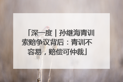 深一度｜孙继海青训索赔争议背后：青训不容易，赔偿可仲裁