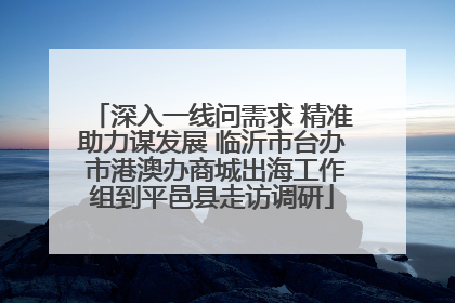 深入一线问需求 精准助力谋发展 临沂市台办 市港澳办商城出海工作组到平邑县走访调研