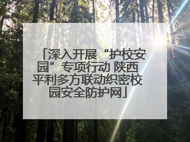 深入开展“护校安园”专项行动 陕西平利多方联动织密校园安全防护网