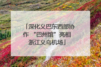 深化义巴东西部协作 “巴州馆”亮相浙江义乌机场