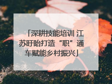 深耕技能培训 江苏盱眙打造“职”通车赋能乡村振兴