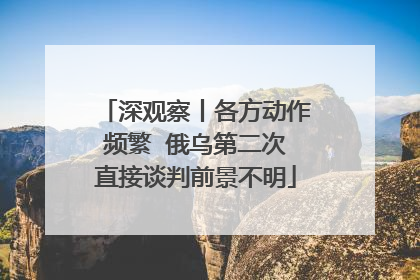 深观察丨各方动作频繁  俄乌第二次直接谈判前景不明