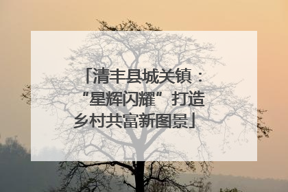 清丰县城关镇：“星辉闪耀”打造乡村共富新图景