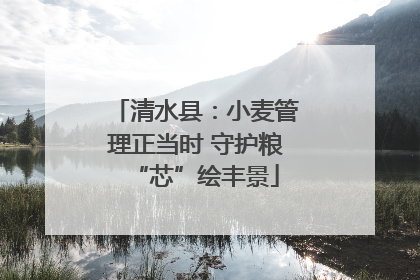 清水县：小麦管理正当时 守护粮“芯”绘丰景