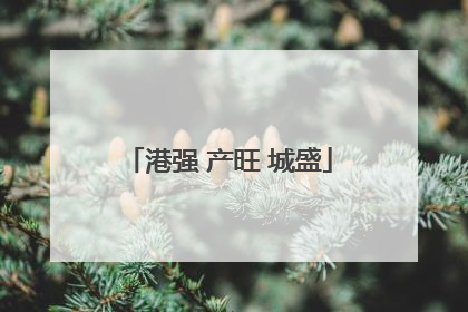 港强 产旺 城盛