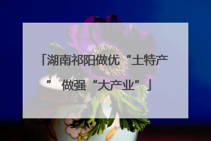 湖南祁阳做优“土特产” 做强“大产业”