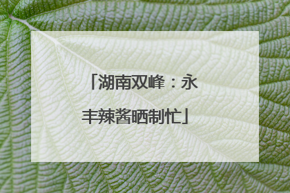 湖南双峰：永丰辣酱晒制忙