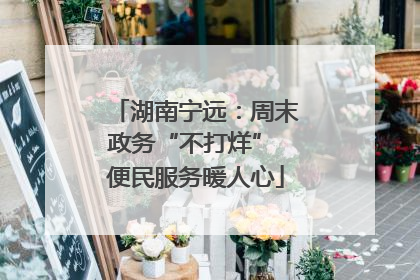 湖南宁远：周末政务“不打烊” 便民服务暖人心