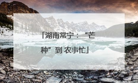 湖南常宁：“芒种”到 农事忙