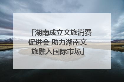 湖南成立文旅消费促进会 助力湖南文旅融入国际市场