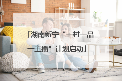 湖南新宁“一村一品一主播”计划启动