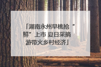 湖南永州早桃抢“鲜”上市 夏日采摘游带火乡村经济