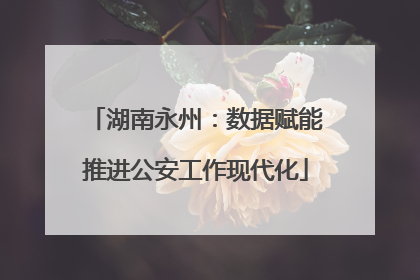 湖南永州：数据赋能推进公安工作现代化