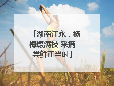 湖南江永：杨梅缀满枝 采摘尝鲜正当时