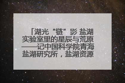湖光“链”影 盐湖实验室里的星辰与荒原——记中国科学院青海盐湖研究所，盐湖资源化学实验室党总支书记、副主任刘忠