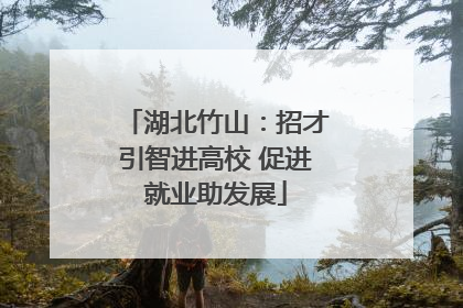 湖北竹山：招才引智进高校 促进就业助发展