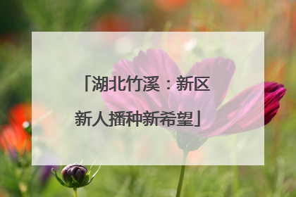 湖北竹溪：新区新人播种新希望
